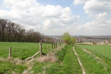 Groen wandelboek deel 1, met 23 wandelingen