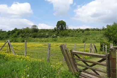 Bloesemwandeling Groot-Gelmen: ontdek landelijk Haspengouw