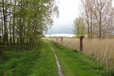 Kalkense meersen wandelroute