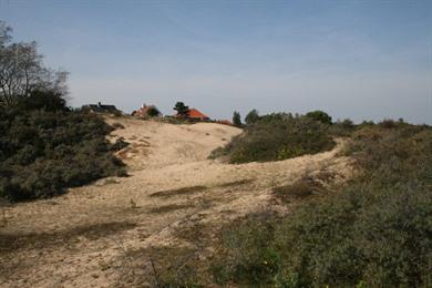 Duinenwandeling Doornpanne en de Hoge Blekker