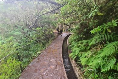 PR6 wandeling: Levada das 25 Fontes en Risco waterval Madeira