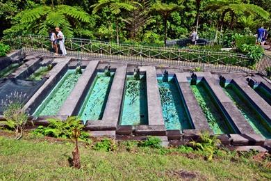 Levada do Furado PR10 (Ribeiro Frio) wandeling op Madeira