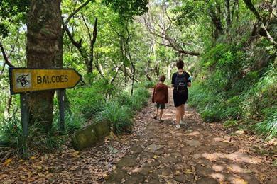 Levada dos Balcões PR11 wandeling op Madeira