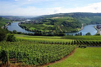 Autoroute Luxemburgse wijngaarden langs de Moezel + kaart