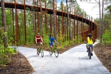 Fietsen door de bomen: Fietsroute Neerpelt, Bosland & Limburgse Kempen