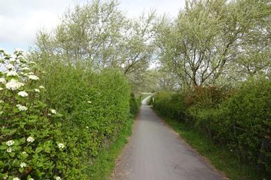 Fietsroute kust: Nieuwpoort - abdij Gistel