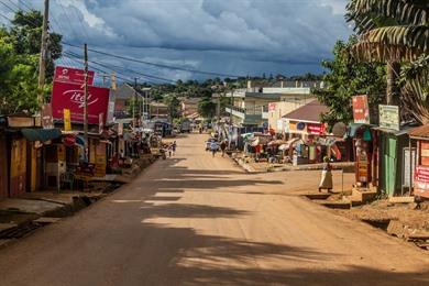 Rondreis Oeganda: 15-daagse roadtrip langs regenwouden, gorilla's en meren