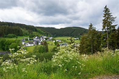 Sauerland met de auto? Complete rondreis van noord tot zuid