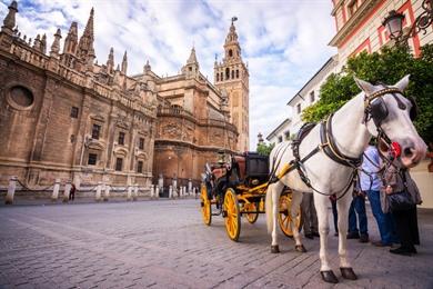 Stadswandeling Sevilla, ontdek het mooiste van de stad