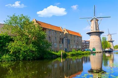 Stadswandeling Schiedam: stad van de jenever en reuzen molens