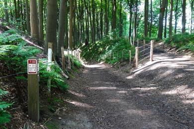 Wandeling in het Muziekbos van Louise-Marie (Vlaamse Ardennen) + kaart