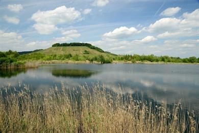 Natuurwandeling en Biodiversum Haff Réimich: moerasgebied en vogels spotten