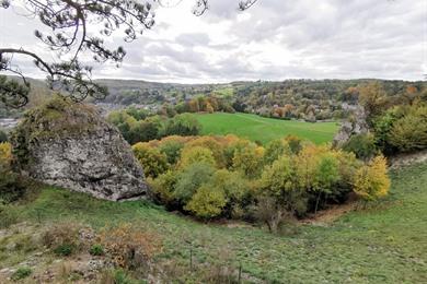 Boswandeling in Comblain-au-Pont, langs geschiedenis en panorama's