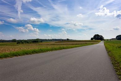 Wandeling Ellezelles: In het hart van de heuvels(13km)