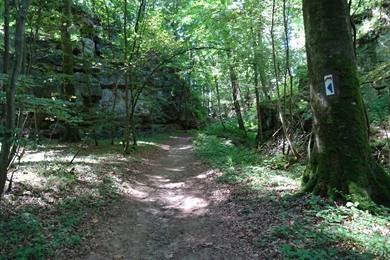 Klein-Zwitserland: luswandeling in het Müllerthal en Consdorf