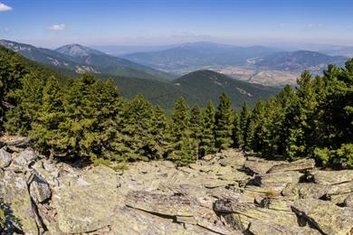 Wandeling naar de top van de Pelister vanuit Nižepole