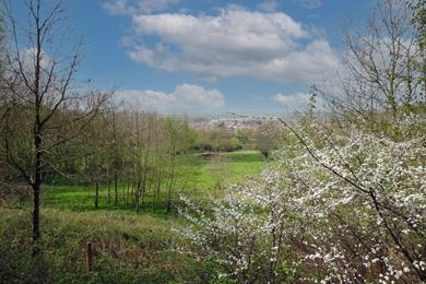 Natuurwandeling Ename – Horebeke, over bergen en akkers