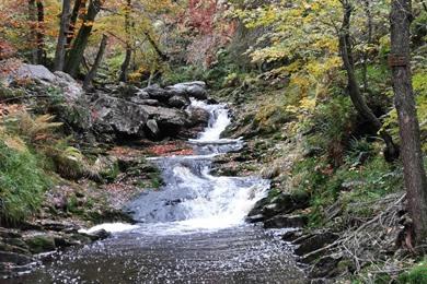 Wandeling langs de rivier van de Hoëgne