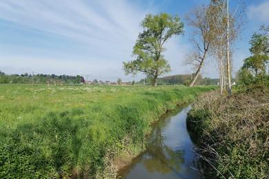 Natuurwandeling Velzeke (Zottegem) langs Molen- en Zwalmbeek