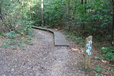 Wandelroute Kattevennen in Hoge Kempen te Genk