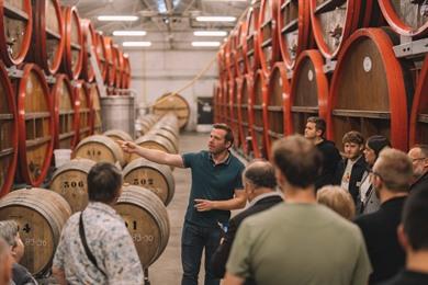 Natuurwandeling in Lembeek met bezoek aan Brouwerij Boon