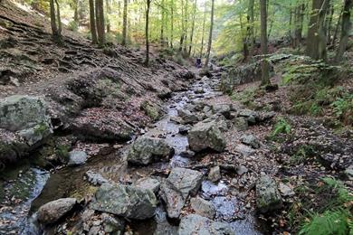 Wandeling van de Ninglinspo + Amblève