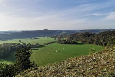 Wandeling in Rochefort met grotten en uitzichtpunten