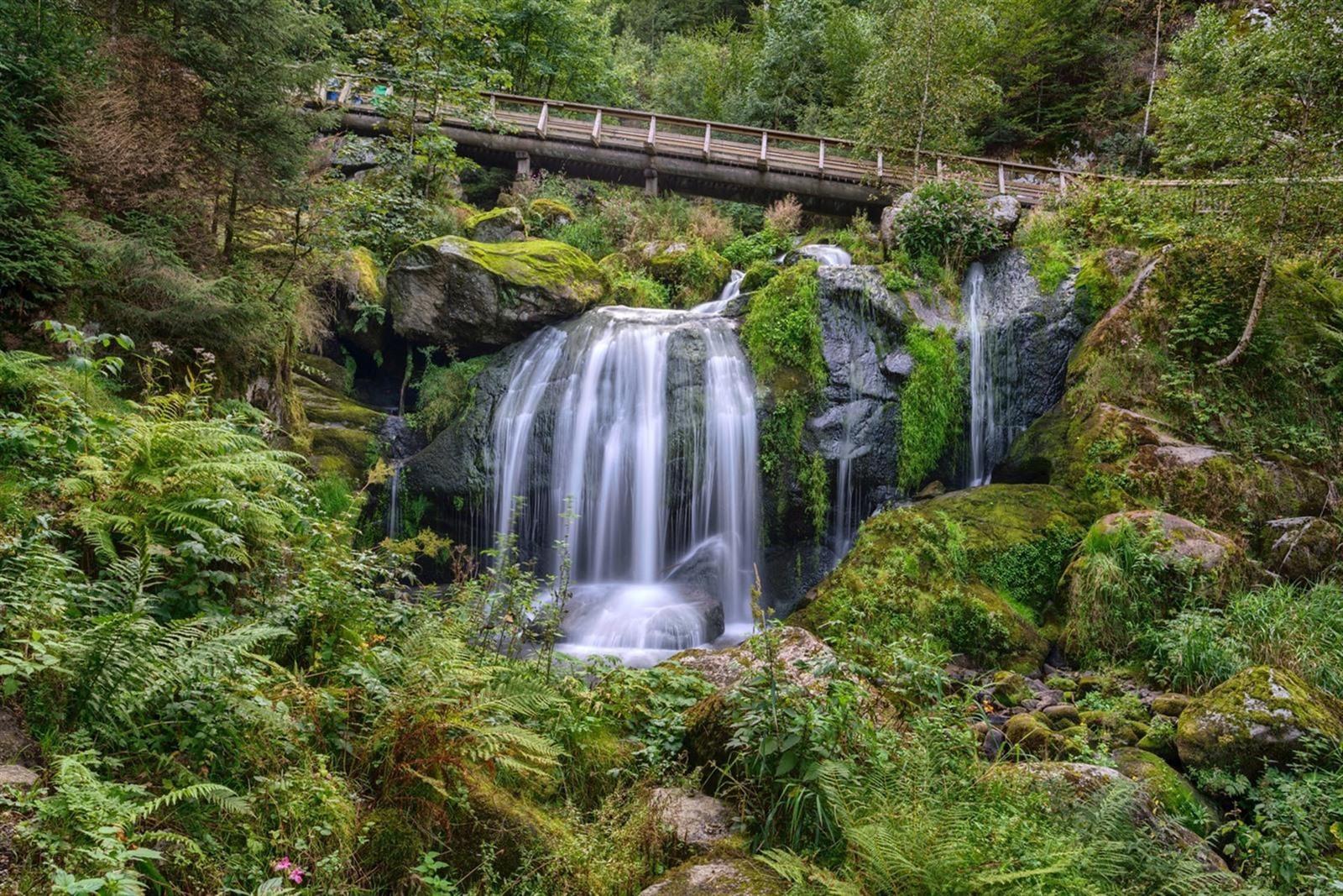 Panoramawandeling watervallen van Triberg (5 km)